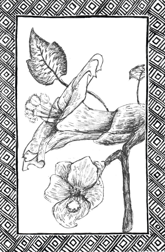 Slide 30